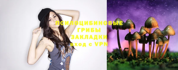спайс Арсеньев