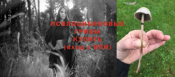 спайс Арсеньев
