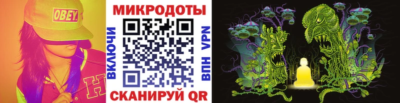 Псилоцибиновые грибы Cubensis  Белёв 
