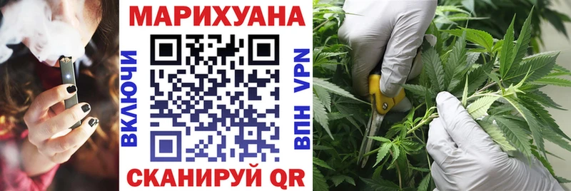Каннабис сатива  Белёв 
